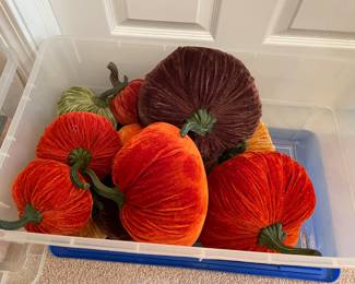 velvet pumpkins