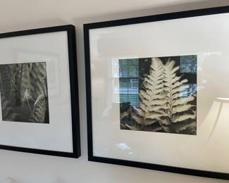 framed prints - set of 3 available