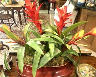 Artificial arrangement