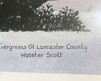 "Evergreens of Lancaster County" by Wooster Scott