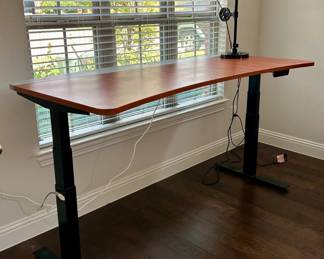 Electric Adjustable Desk