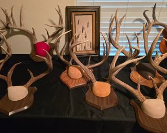 Surprise! There is more!