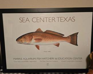 "Sea Center Texas" Picture