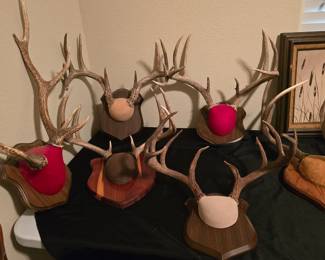 More Deer Mounts
