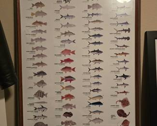 "Saltwater Fishes of Texas" Picture 