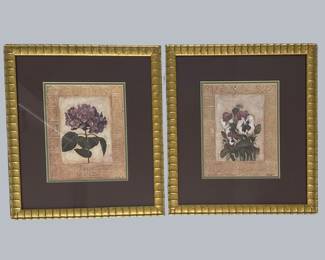 Pair Of Framed Floral Art Prints
