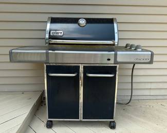 Weber Genesis Grill
