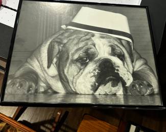 50% OFF ORIGINAL PRICE ENGLISH BULLDOG PICTURES