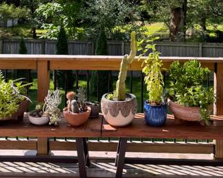 Amazing Plant Collection 
Benches - tops are 15" x 63" x 17" high. 