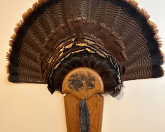 Mounted Turkey 