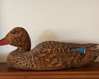 Duck Decoy 