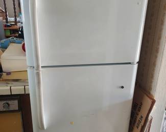 fridge 100
