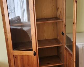 Cabinet with Goass Doors