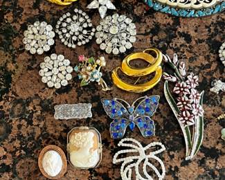 Costume jewelry (pins)