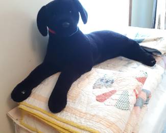 But, look at that face....