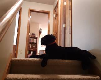 Ok fine.  You can stay.