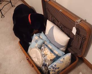 Hey! Get out of there!!