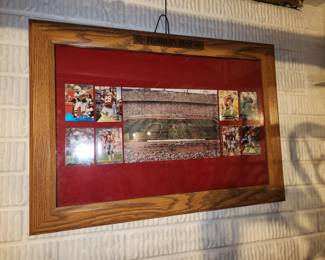 The Ohio State framed print