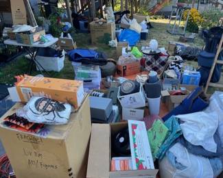 Franciscan dishes - Papaya (happy colors), blankets/bedding, Christmas tree in a pot with white twinkle lights & more!