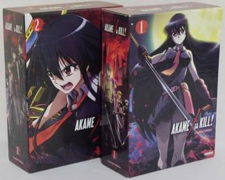 2391 - Akame ga Kill Boxed Sets Vol I and II DVD, Blu-Ray, OST, and Art Book
