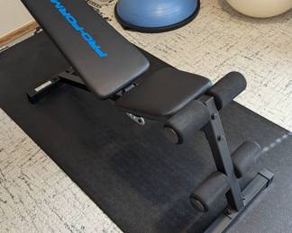 ProForm training bench