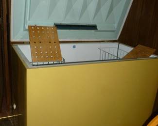 old freezer (works)