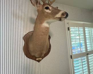 Deerhead