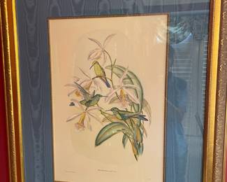 Pair of beautifully framed Hummingbird Lithos