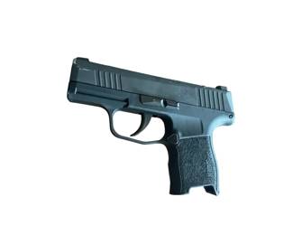 Sig and Sauer P365 .380
