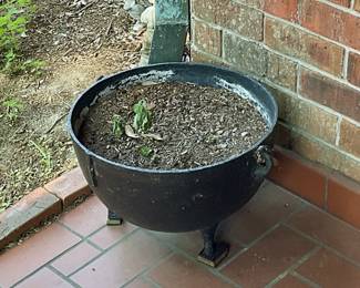 Cast iron boiling pot used as planter
