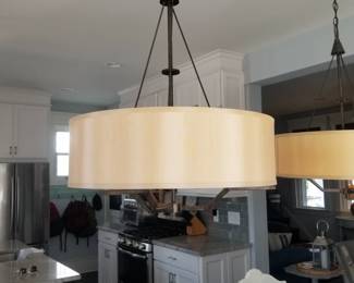 Fabulous light fixture - two available