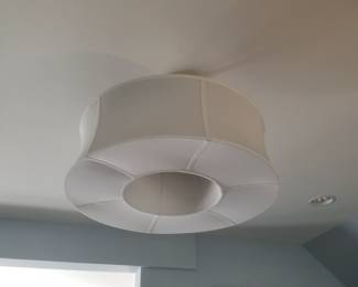 Fan/light fixture - unique!