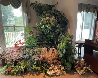 Decorative Plants - Many to choose from of all sizes!