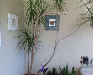 Plants, plants, plants.