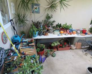 Plants, plants, plants.