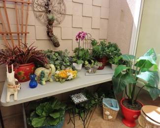 Plants, plants, plants.