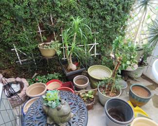 Plants, plants, plants.