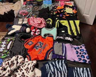 Pet Supplies and Clothing