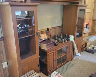 Vinyl,  entertainment center 