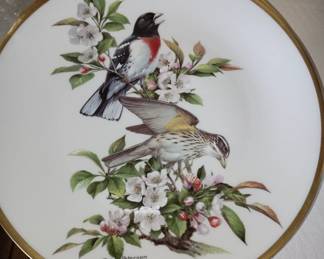 Birds of America 
Made in Limoges, France