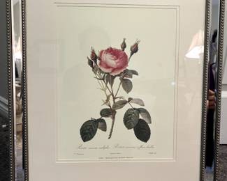 Rose Print, ivory matte, lux mirrored frame, 18"w x 22"t