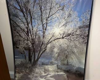 Winter Landscape Framed Poster