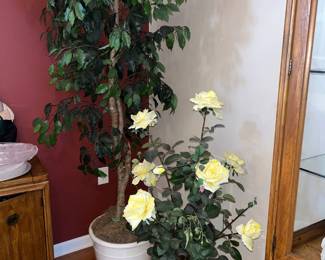 22Oct 14 2024 04 17pmk1Hy