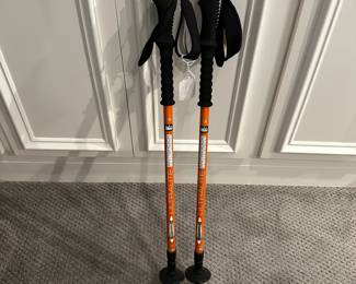 C82 - $50 Pair of REI Ultralite Antishock Hiking Poles by Komperdell. (110-145)