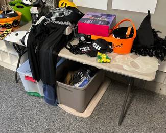 Halloween Decorations Priced Individually.