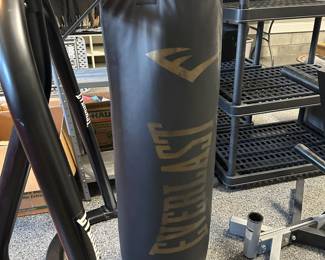 C129 - $200. Everlast Punching Bag Stand, Bag & Speed Bag. Very good condition.