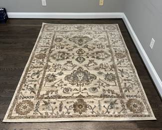 C27 - $40. Colesseo Area Rug measures 5'3" x 7' 3". (has been rolled so needs to be flattened better)