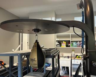 C129 - $200. Everlast Punching Bag Stand, Bag & Speed Bag. Very good condition.