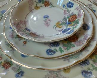 Theodore Haviland Limoges porcelain dinnerware set