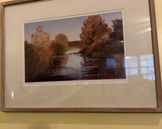 Framed and Signed Oil Paining 